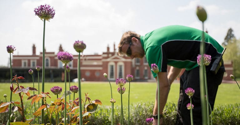 Gardening Hinxton Hall