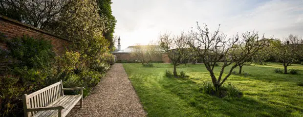 The orchard at Hinxton Hall Conference Centre