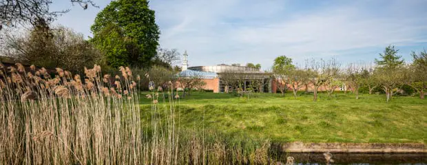 The orchard at Hinxton Hall Conference Centre with lake reeds in foreground