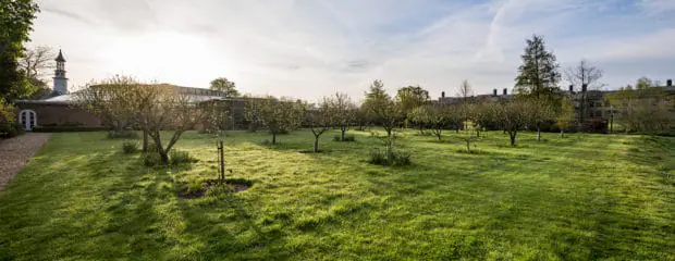 The orchard at Hinxton Hall, looking towards the Barbara McClintock Pavilion