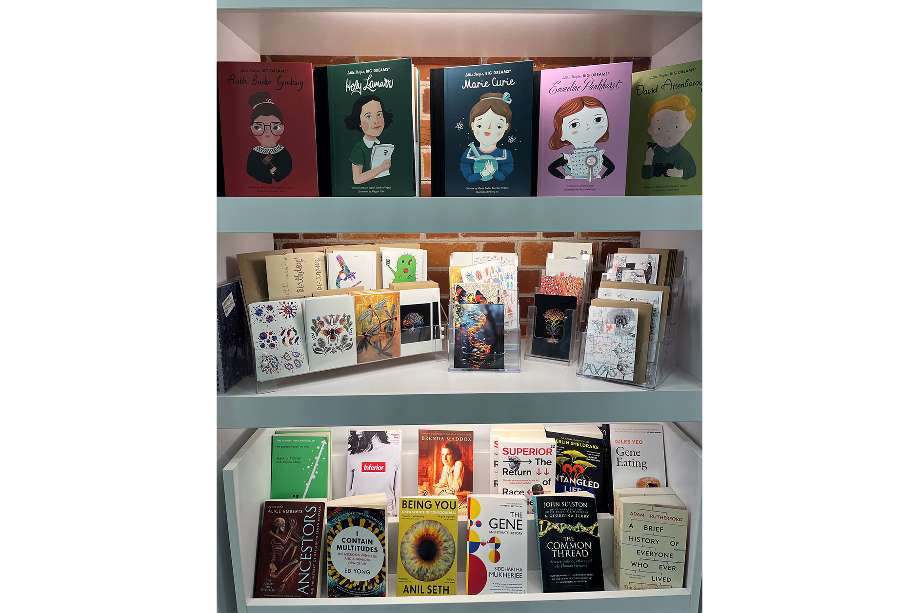 Bookshelves with a selection of: top row - Little People, Big Dreams series; middle shelf - postcards; bottom row - books by contemporary writers on science.