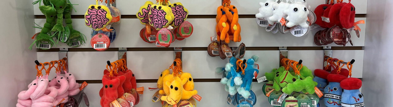 Giant Microbe keyrings. Colourful soft toys, smaller than the size of a smartphone.